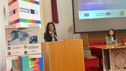 Laura Comelli, Organ Upravljanja, Interreg Italija-Slovenija