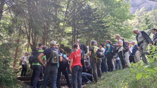 èStoriaBus: Alla scoperta dell'Isonzo: La sorgente