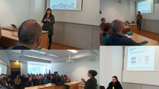 Final cross-border workshop (WP3)