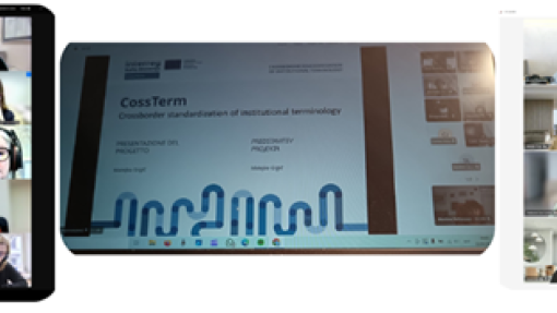 Joint cross-border workshops