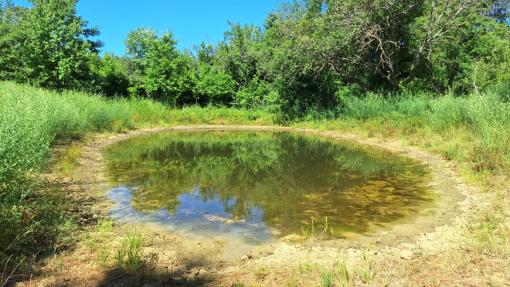 Mrzlek Pond