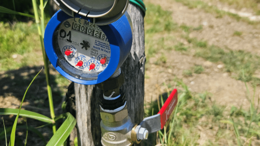 Irrigation trials in the vineyard, Šmarje