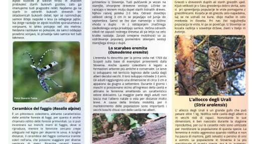 A leaflet describing the three target species we worked on as part of the project
