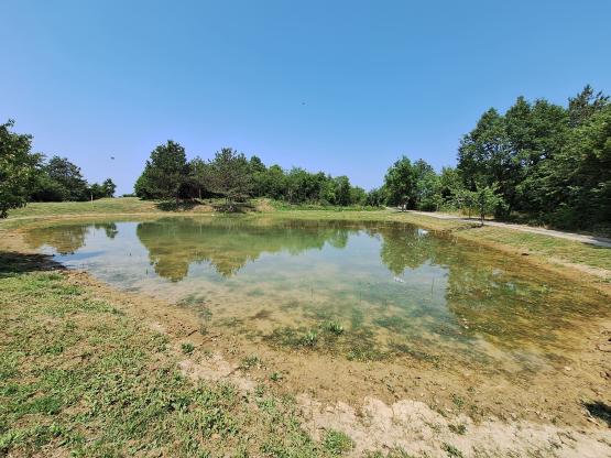 pond version 1
