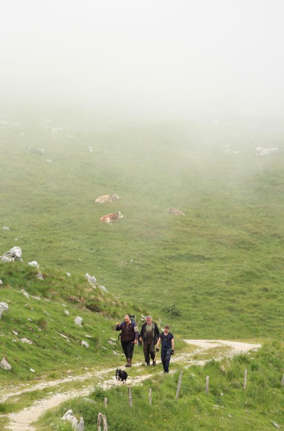 Camminando verso la malga