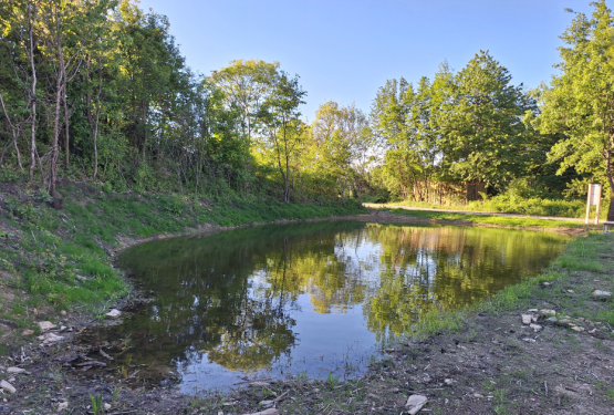 pond version 2