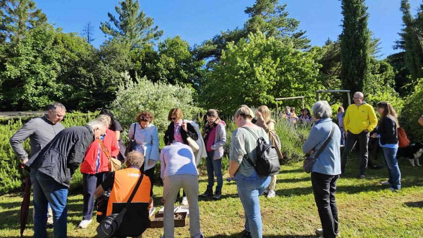 Delavnica/Laboratorio