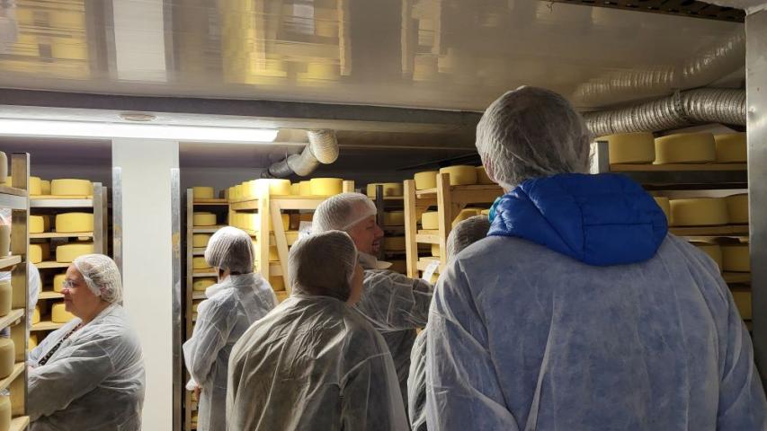 Voden ogled zorenja sira v Mlekarni Planika, 07.05.2024