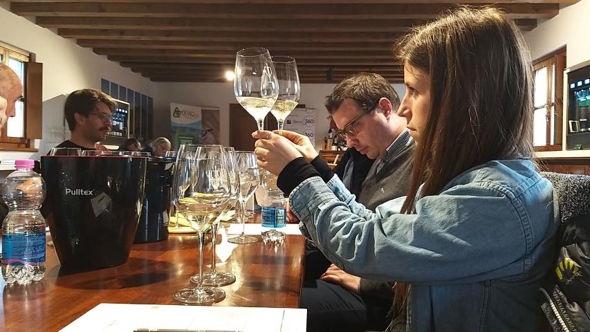 Irrigavit winetasting 6