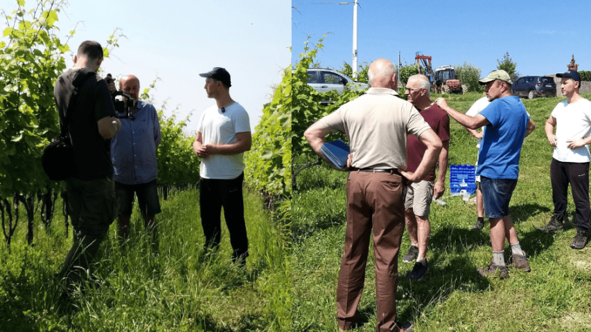 WP3 Incontro in campo, Azienda Specogna, Corno di Rosazzo 1