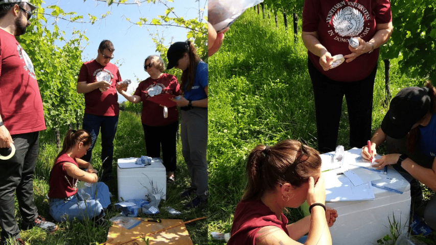 WP3 Incontro in campo, Azienda Specogna, Corno di Rosazzo 6, prelievo terra
