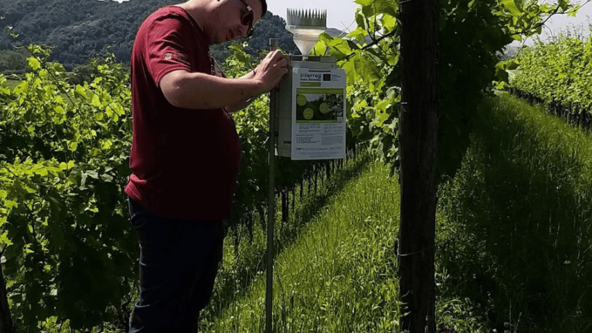 WP3 Incontro in campo, Azienda Specogna, Corno di Rosazzo 8, pluviometro