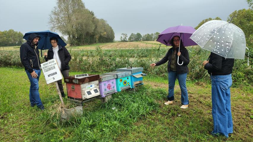 Bee2gether - Vallevecchia 3