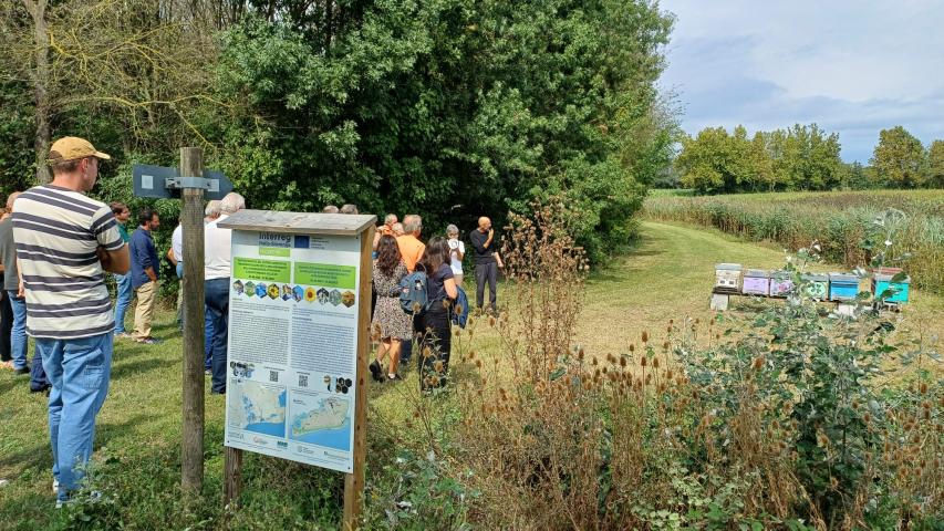 Bee2gether - Vallevecchia 17