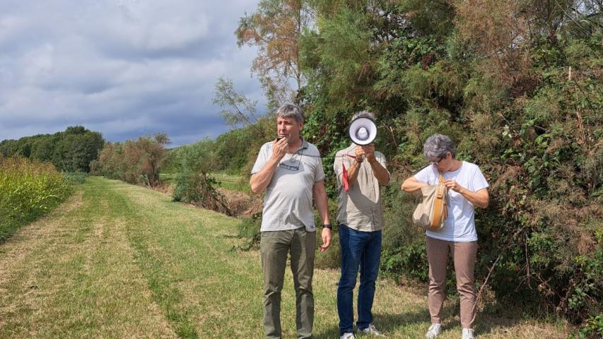 Bee2gether - Vallevecchia 19