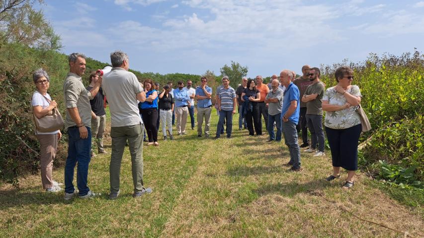 Bee2gether - Vallevecchia 18