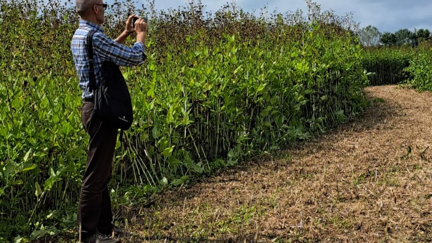 Bee2gether - Vallevecchia 15