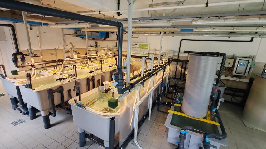 Pilotni obrat RAS v Vidmu