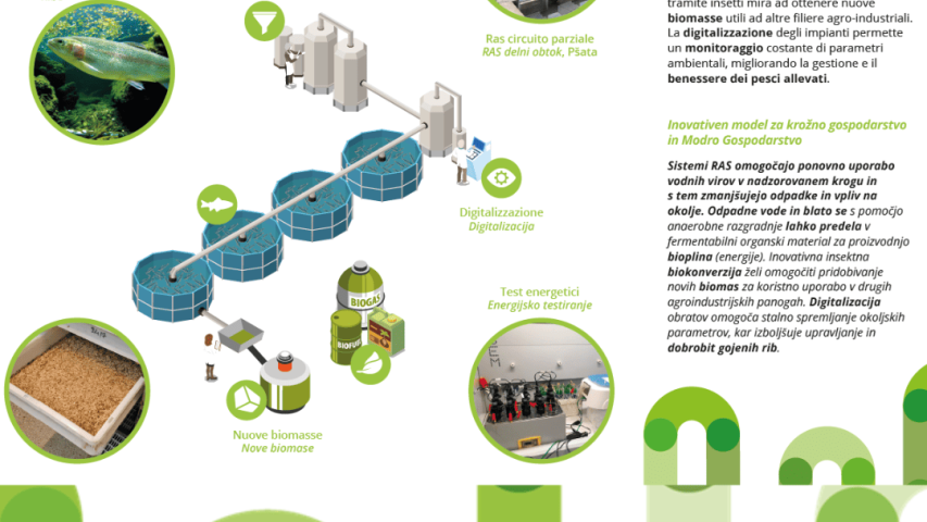 Predstavitev projekta