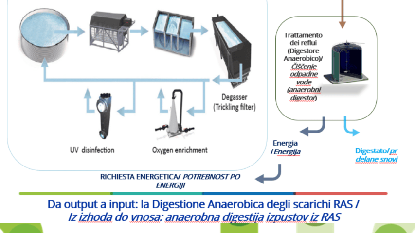 Shema output - input RAS
