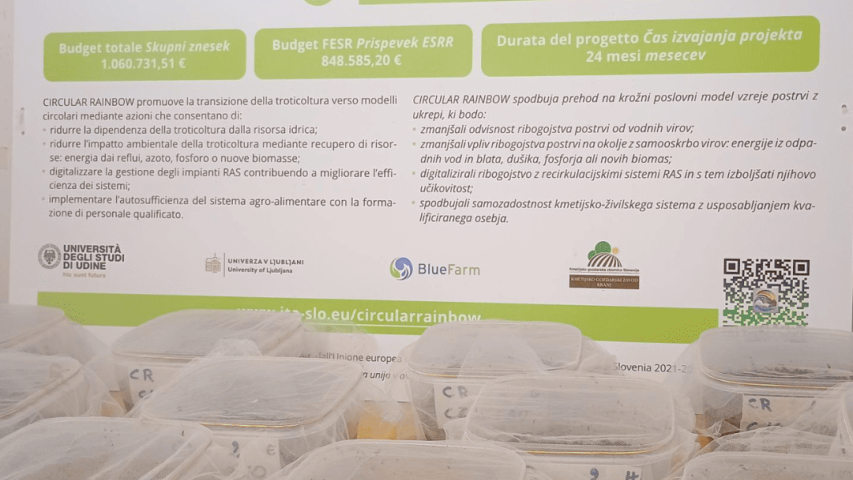 Blato in nova biomasa