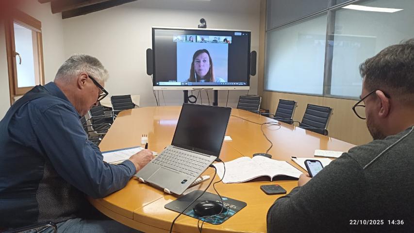Coordination call among the Italian partners: Confesercenti Metropolitana Venezia Rovigo, Confartigianato Venezia e Comune di Monfalcone
