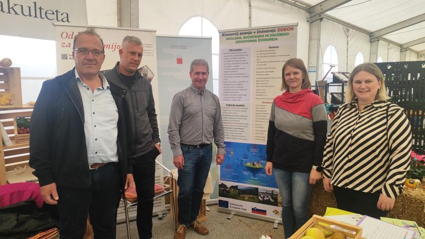 Razstavni prostor in partnerji