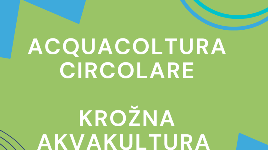 Konferenčna predstavitev