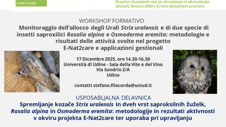 Workshop tecnico per la presentazione dei risultati del monitoraggio - 17.12.2025