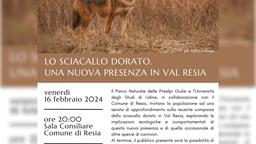 Conferenza sullo sciacallo dorato - 16.2.2024