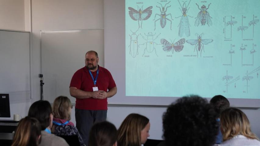 Workshop sulla preparazione degli insetti - 31.1.2025