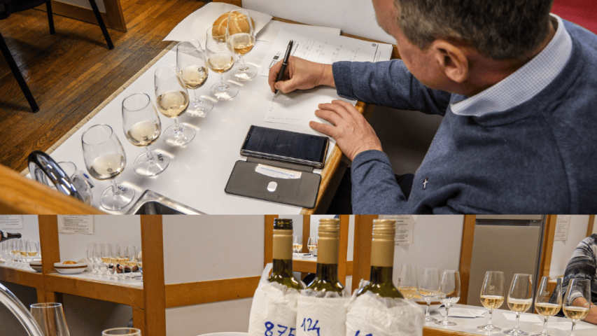 Seconda degustazione slovena