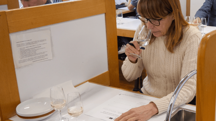 Seconda degustazione slovena