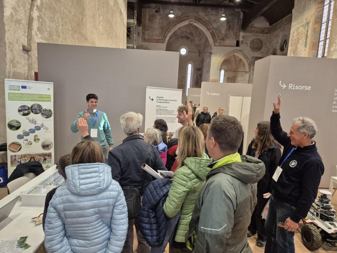 Collegamenti 2025-13