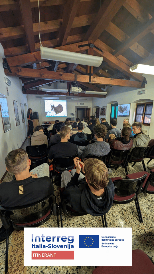 Discovering the wildlife of the Julian Prealps Nature Park