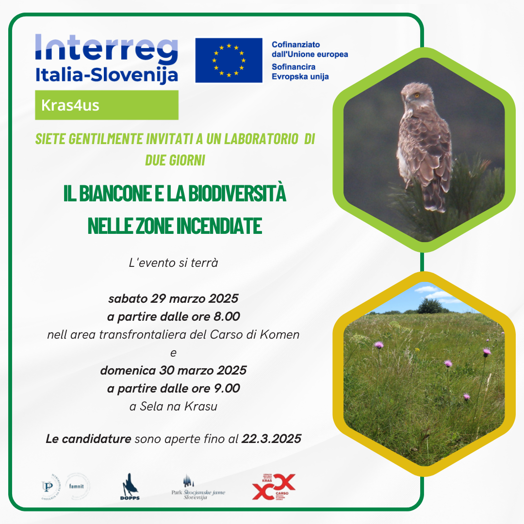 Il biancone1