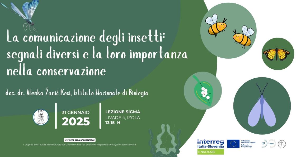 Informazioni sulla lezione aperta