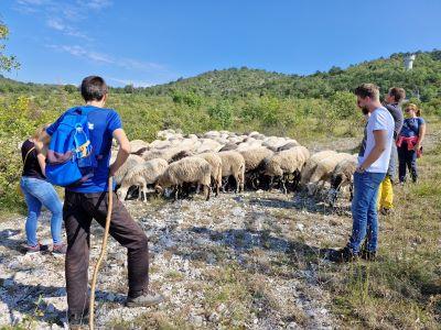Ogled kmetije Antonič v Cerovljah