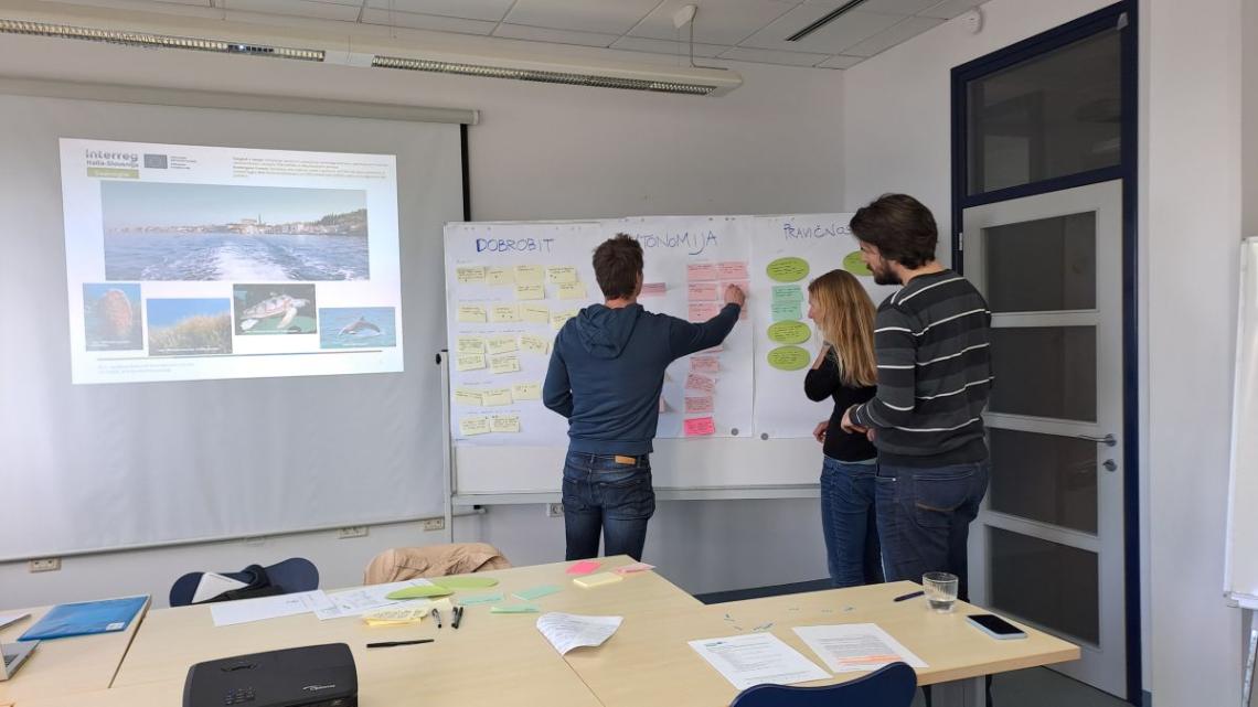 SeaInsights focus group 2