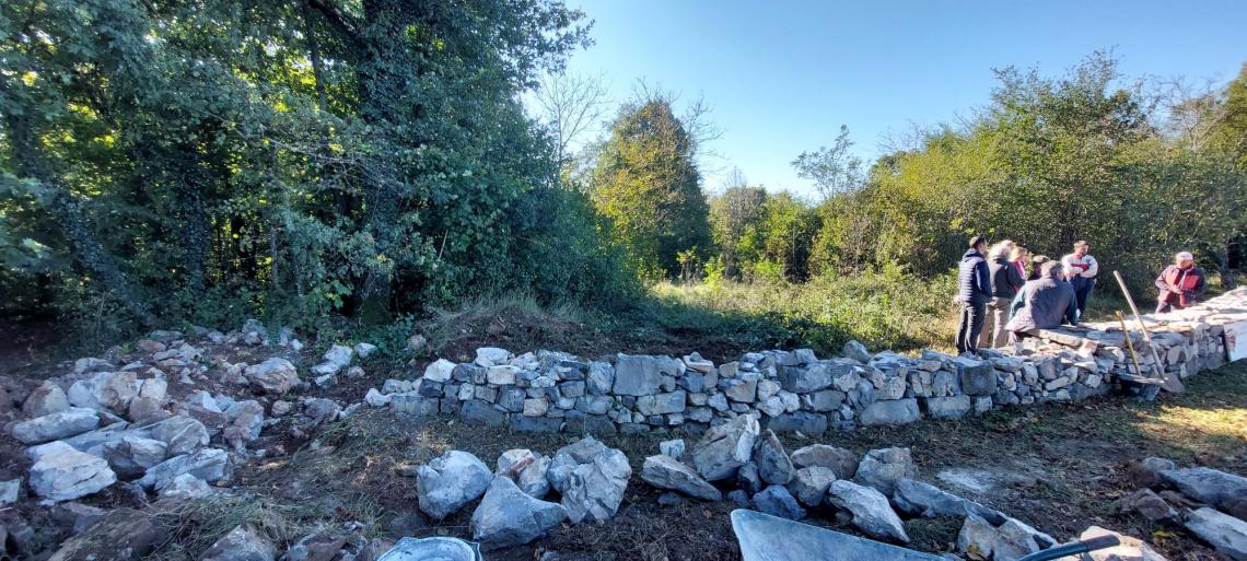 Udeleženci delavnice obnove suhega zidu