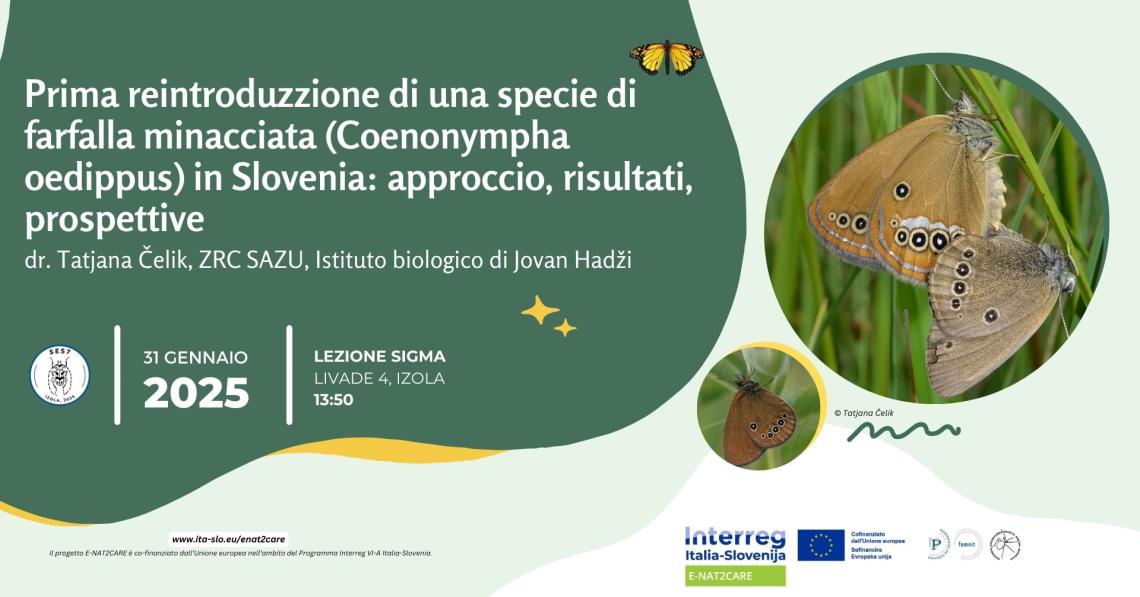 Informazioni sulla lezione aperta