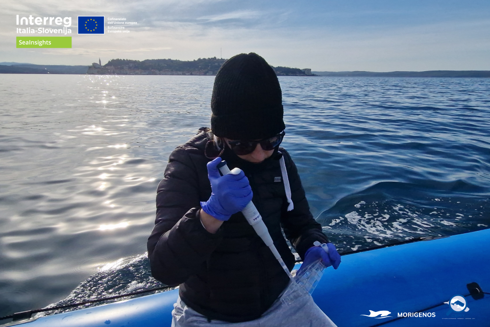 SeaInsights MOR3
