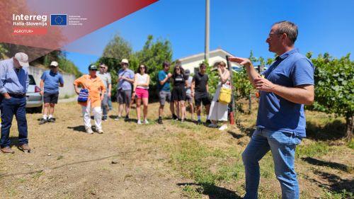 AGROTUR+ Summer school (dr. Klemen Lisjak)