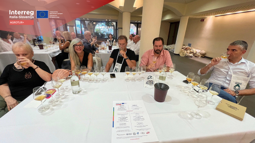 AGROTUR + on the Malvasia in the port Festival