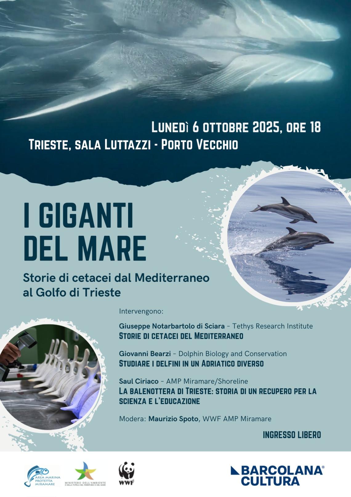 SeaInsights in Barcolana4