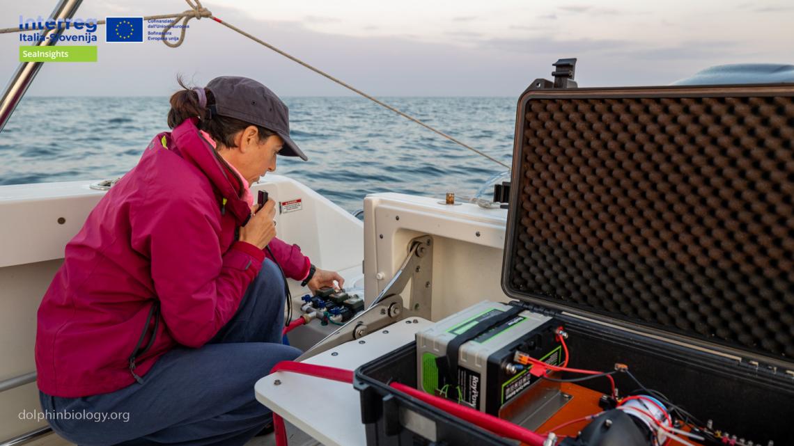 SeaInsights
