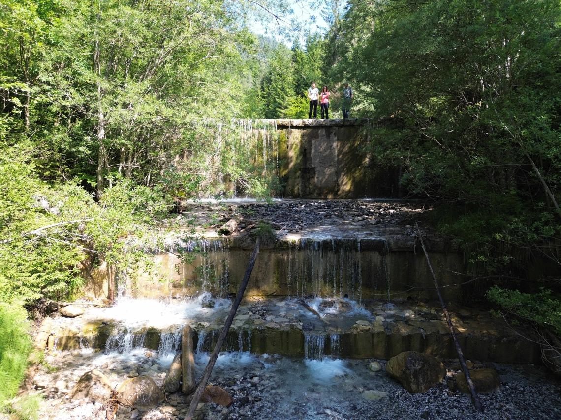 torrent