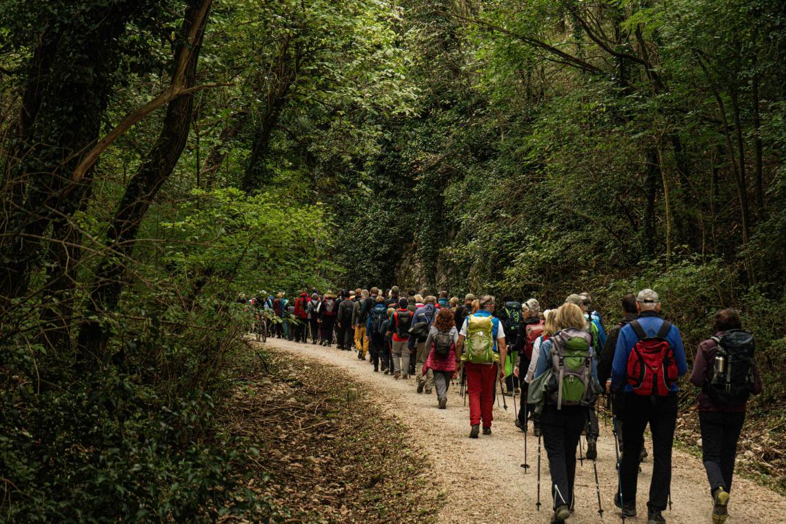 Alpe Adria Trail participants