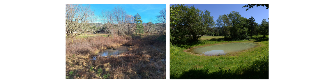 Mrzlek pond
