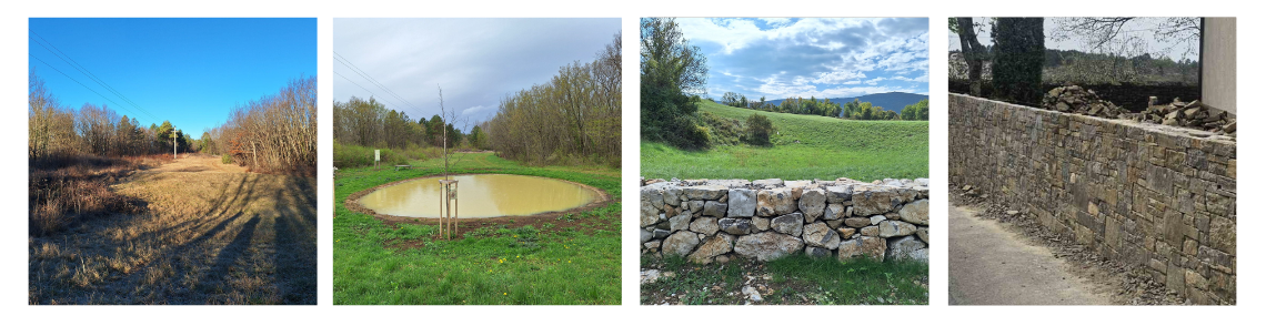 pond-stonewalls